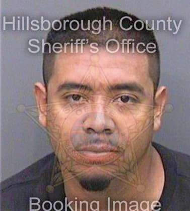 Fernandez Fernando - Hillsborough County, FL 