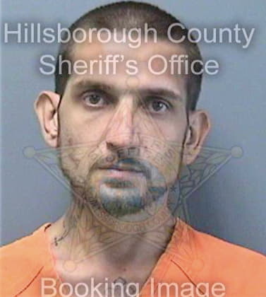 Johnson Timothy - Hillsborough County, FL 