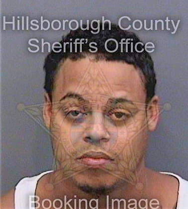 Fitzgerald Auther - Hillsborough County, FL 