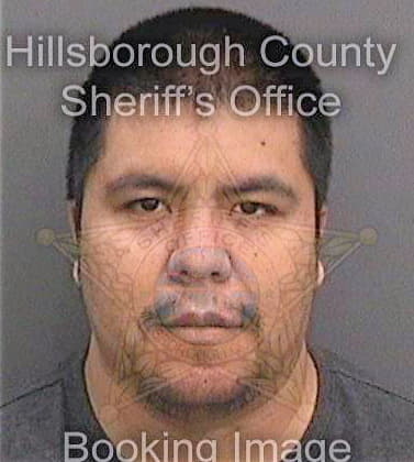 Vargas Cristian - Hillsborough County, FL 