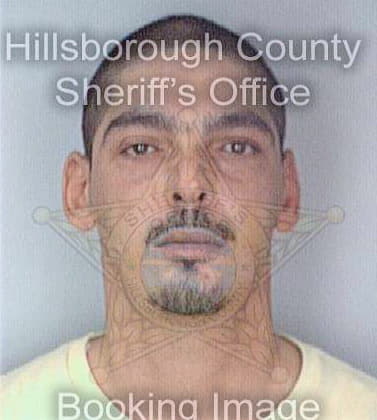 Gonzalez Carlos - Hillsborough County, FL 