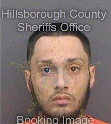 Britt Treston - Hillsborough County, FL 