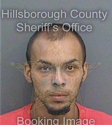 Martinez Jiovani - Hillsborough County, FL 