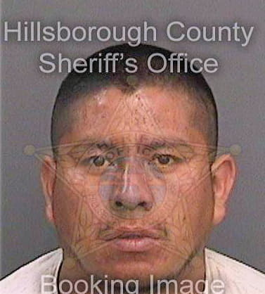 Nuciarriaga Marcelino - Hillsborough County, FL 