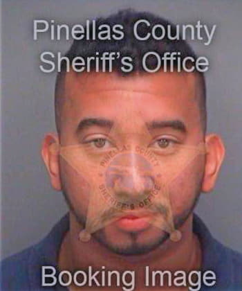 Ling Darryl - Pinellas County, FL 