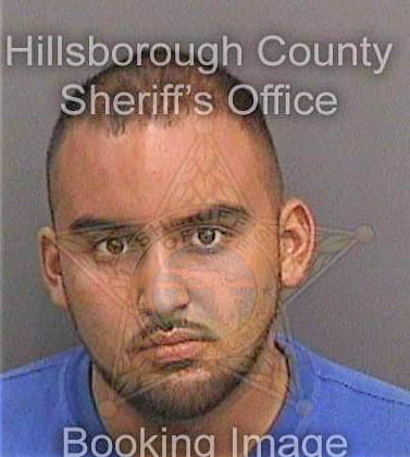 Martinez Miklo - Hillsborough County, FL 