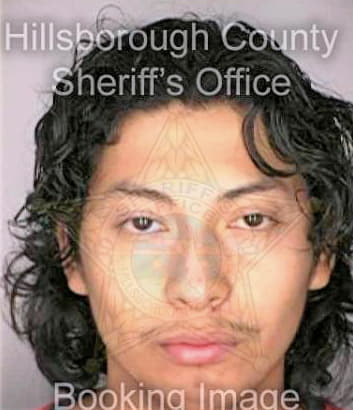 Solano Jose - Hillsborough County, FL 