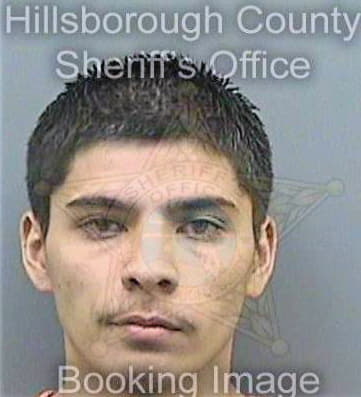 Torres Jesus - Hillsborough County, FL 