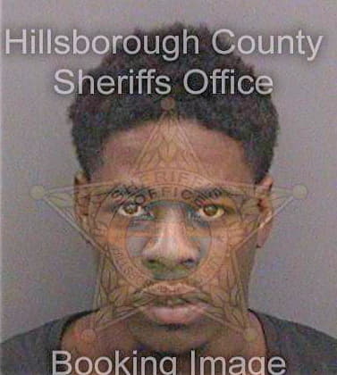 Mccauley James - Hillsborough County, FL 