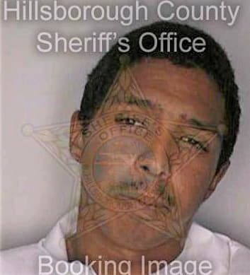 Mcdonald Juan - Hillsborough County, FL 