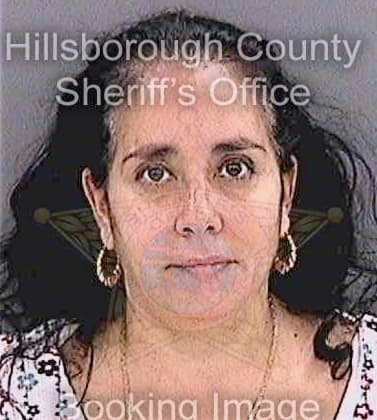 Silva Darlene - Hillsborough County, FL 