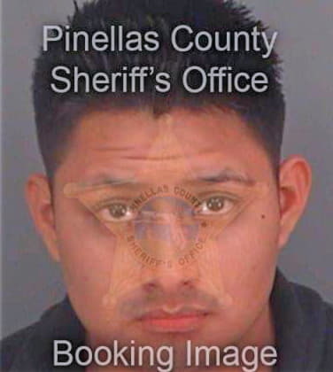 Pedroza Carlos - Pinellas County, FL 