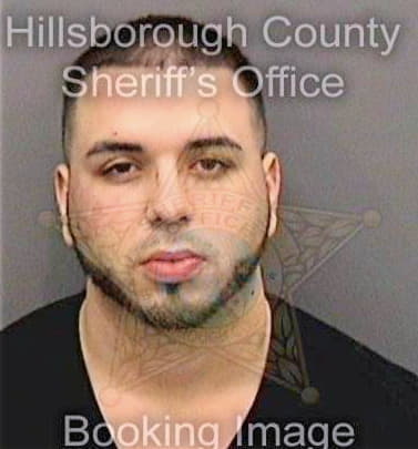 Stamm Gregg - Hillsborough County, FL 