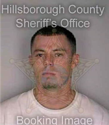 Mele Vincent - Hillsborough County, FL 