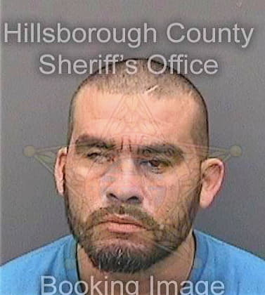 Soto Andres - Hillsborough County, FL 