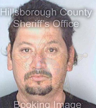 Ramirez Gerardo - Hillsborough County, FL 