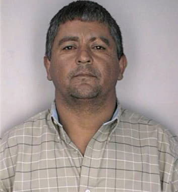 Vasquezmartinez Nahum - Hillsborough County, FL 