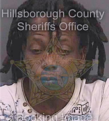 Blacksmith Dewayne - Hillsborough County, FL 