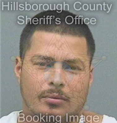 Martinez Roberto - Hillsborough County, FL 