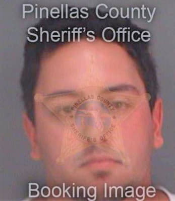 Perez Nicholas - Pinellas County, FL 