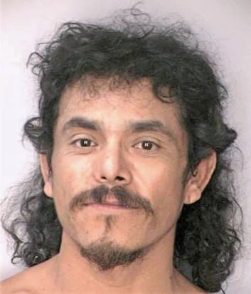 Mendez Raul - Hillsborough County, FL 