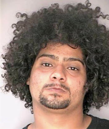 Melendez Javier - Hillsborough County, FL 