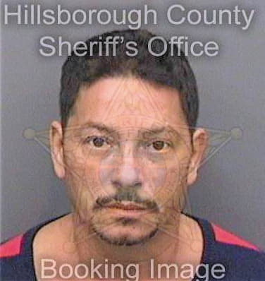 Gonzalez David - Hillsborough County, FL 