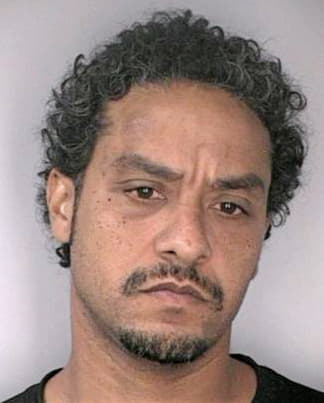 Menendez Shawn - Hillsborough County, FL 