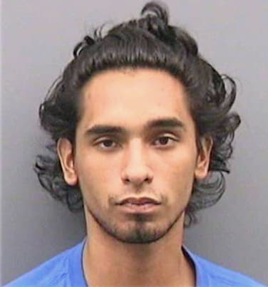 Ramirez David - Hillsborough County, FL 