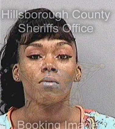 Black Shamecka - Hillsborough County, FL 