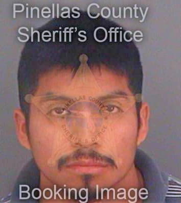 Gomezsanchez Ismael - Pinellas County, FL 