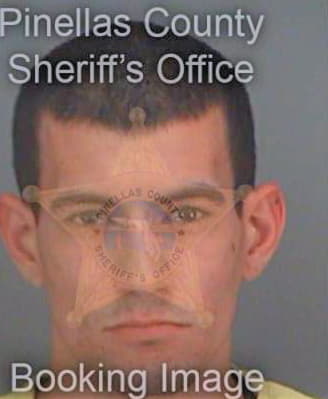 Mcfadden Martin - Pinellas County, FL 