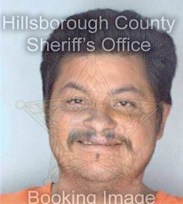 Guzmanvalzqu Loarenzo - Hillsborough County, FL 