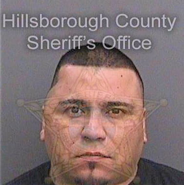 Rico Armando - Hillsborough County, FL 