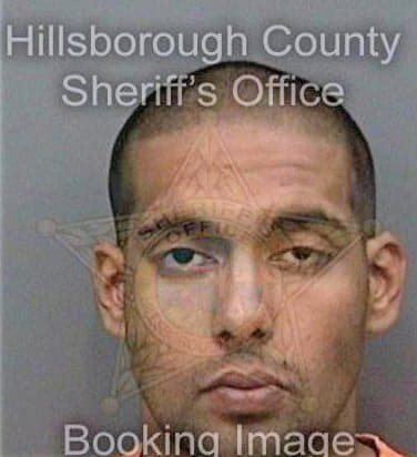 Singh Jesse - Hillsborough County, FL 