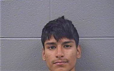 Armendariz Kristian - Cook County, IL 