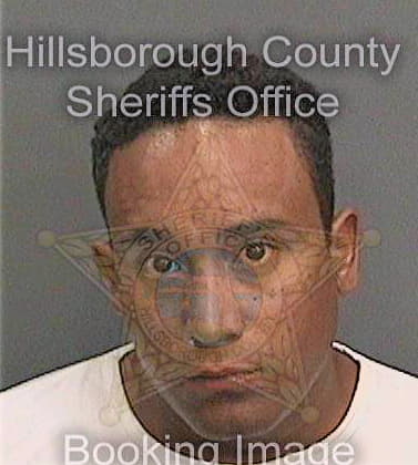 Maldonadodiaz Roberto - Hillsborough County, FL 