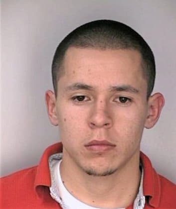 Botello Ivan - Hillsborough County, FL 