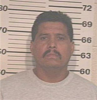 Vidal Luciano - Hidalgo County, TX 