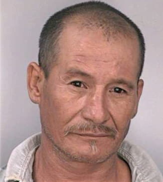 Medina Mario - Hillsborough County, FL 