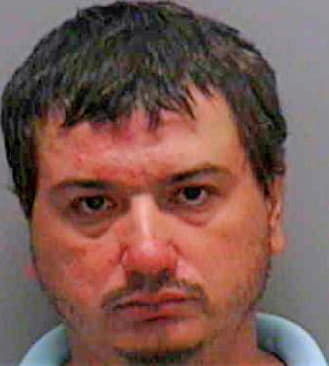 Gonzalez Ricardo - Lee County, FL 