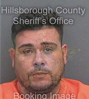 Diaz Michael - Hillsborough County, FL 