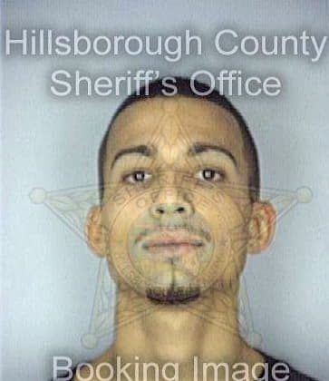 Cortes Joshua - Hillsborough County, FL 