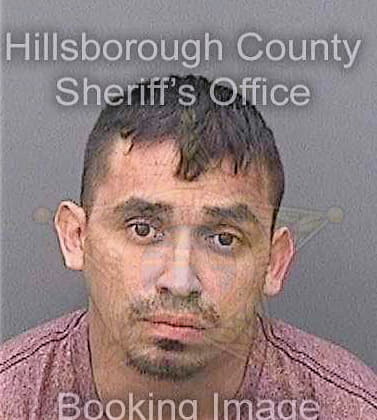 Juarez Joel - Hillsborough County, FL 