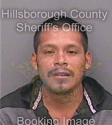 Lopez Joses - Hillsborough County, FL 