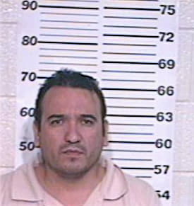 Almazan Jorge - Hidalgo County, TX 