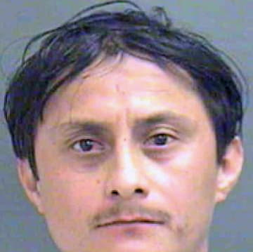 Jarillo Albertini - Mecklenburg County, NC 