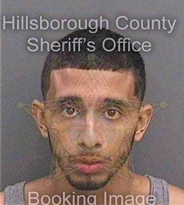 Carvajal Antony - Hillsborough County, FL 