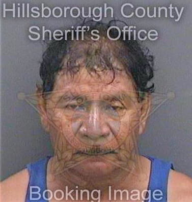 Pardonava Juan - Hillsborough County, FL 