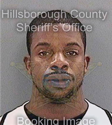 Williams Davan - Hillsborough County, FL 